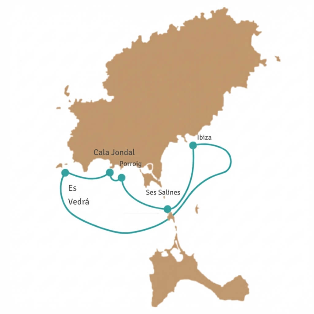 The Dolphins' Playground